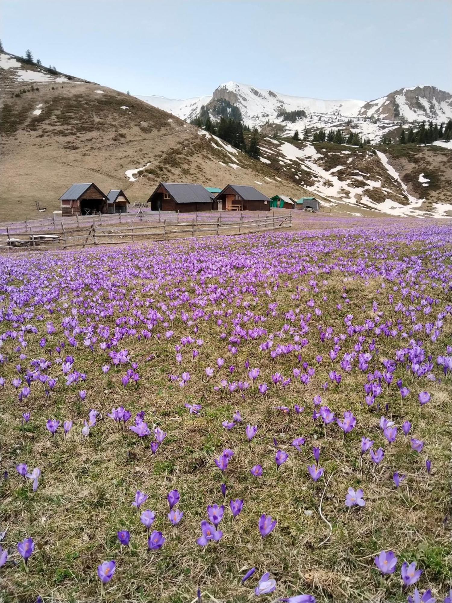 Villa Katun Siska Medna Dolina Berane Exterior foto